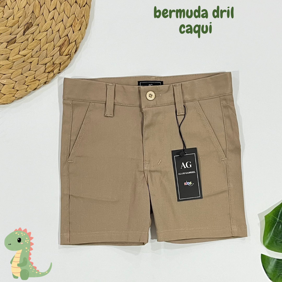 Bermuda caqui