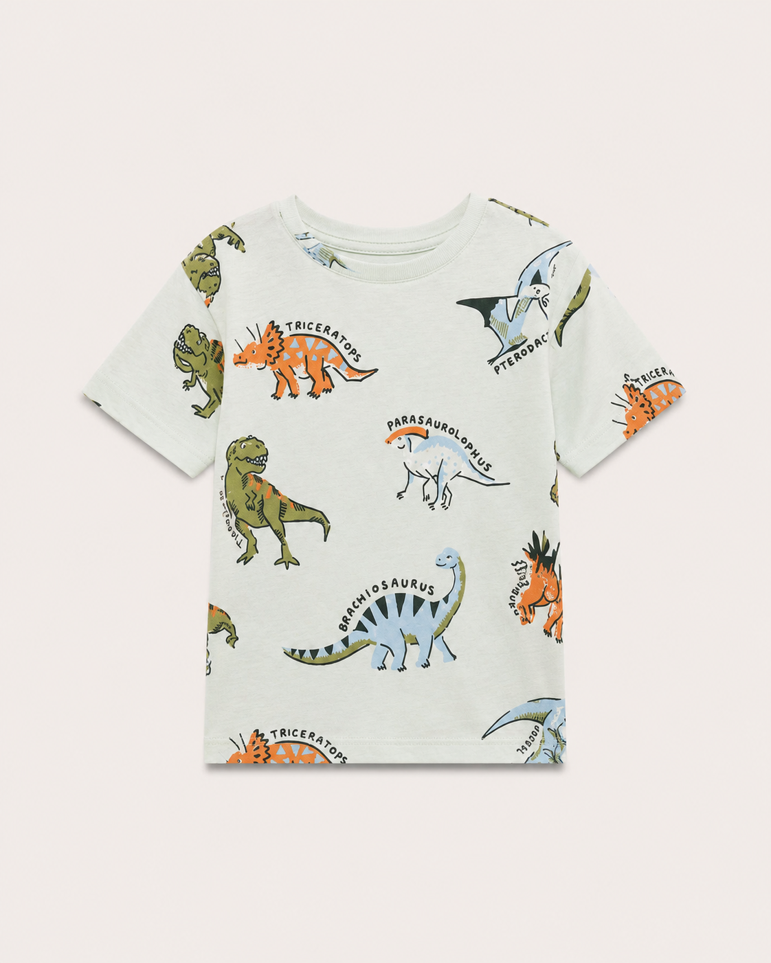 Conjunto Dino Jungle